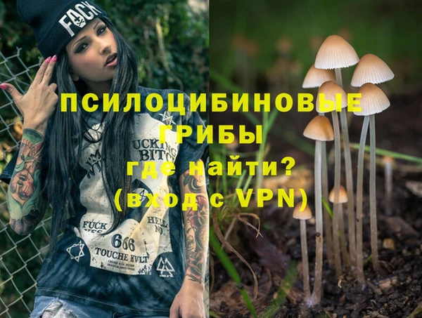 трава Кулебаки