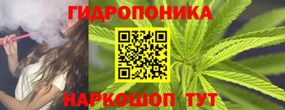 гидропоника Гусиноозёрск