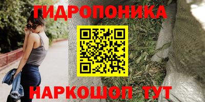 гидропоника Гусиноозёрск