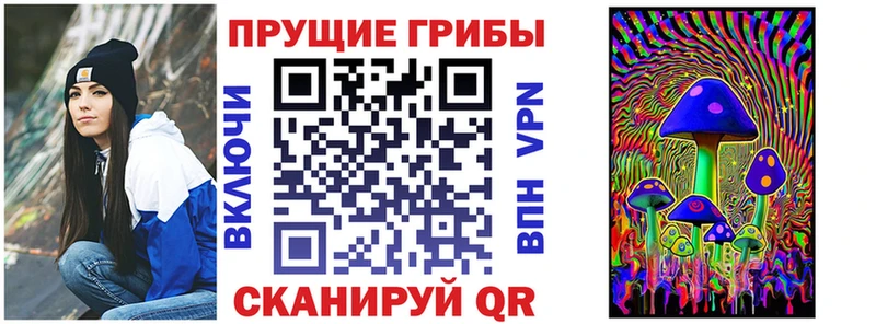 Галлюциногенные грибы мицелий  Оренбург 